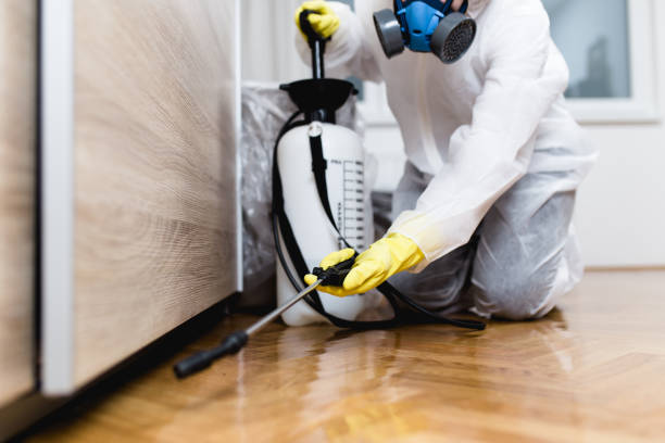 Best Affordable Pest Control Services  in Wellington, UT