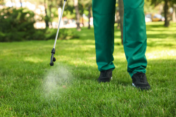 Best Wasp Removal Services  in Wellington, UT